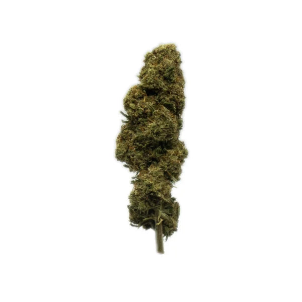 Orange CBG