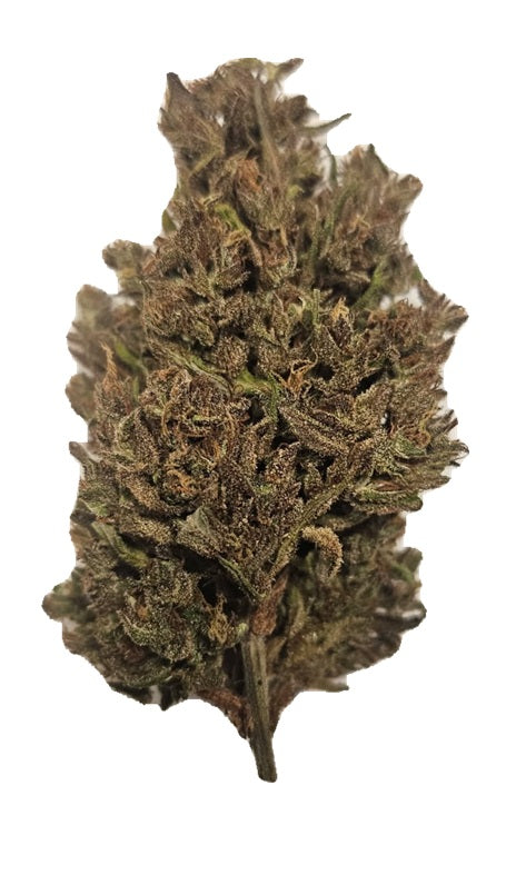 CBD buds - Gorilla Glue 18-21%