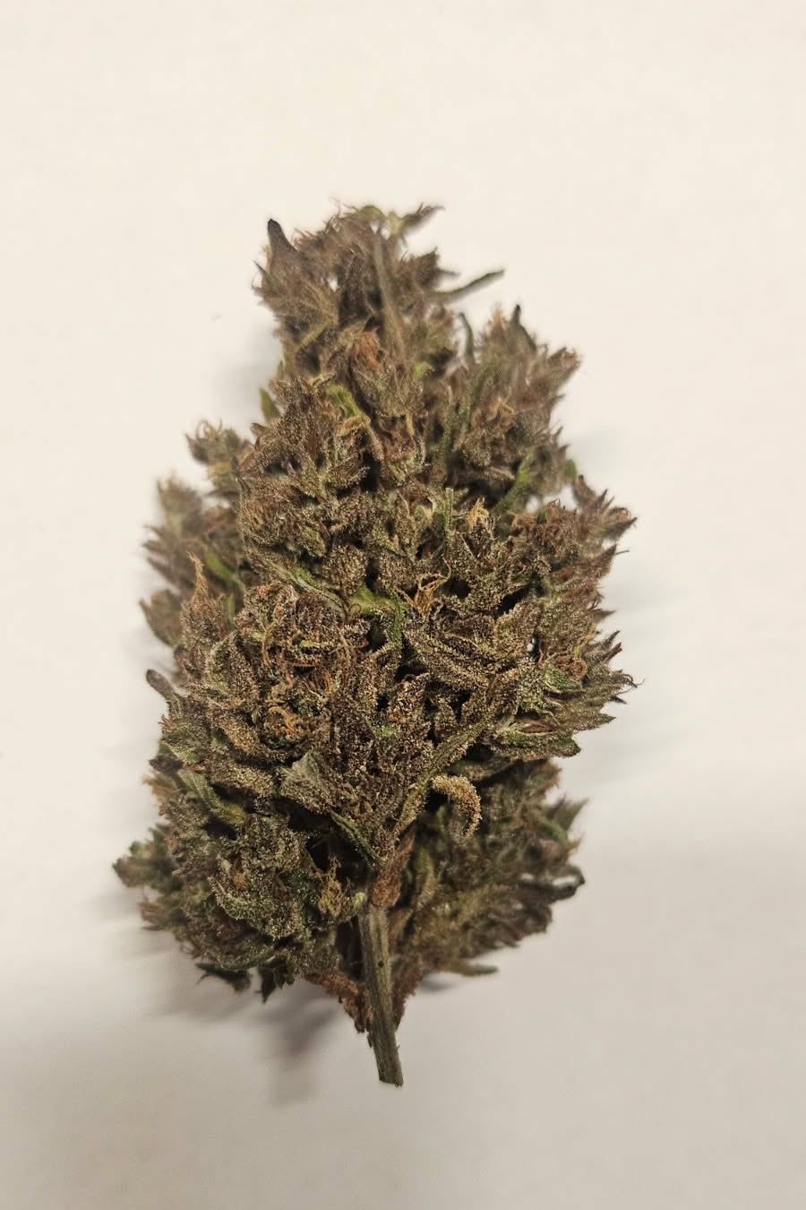 CBD buds - Gorilla Glue 18-21%