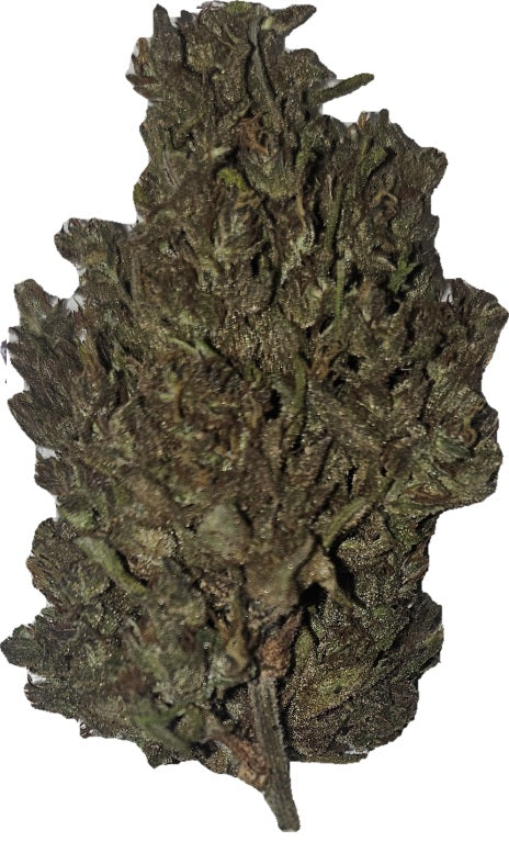 CBD buds - Sour lemon 16-19%