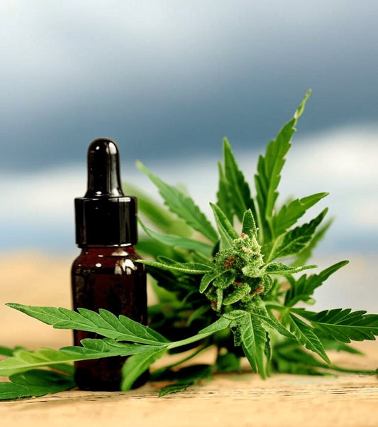 cbd-30%-10ml