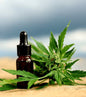 cbd-30%-10ml