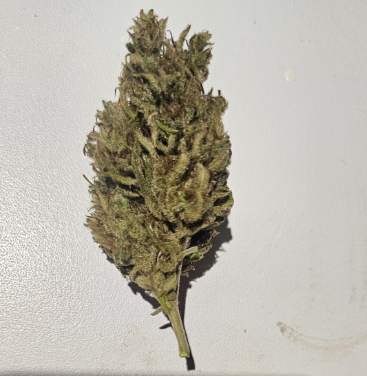 CBG Gmo Free Pesticide Free