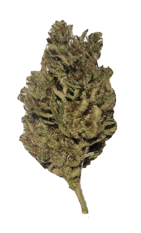 CBG buds - Xtaz, wholesale