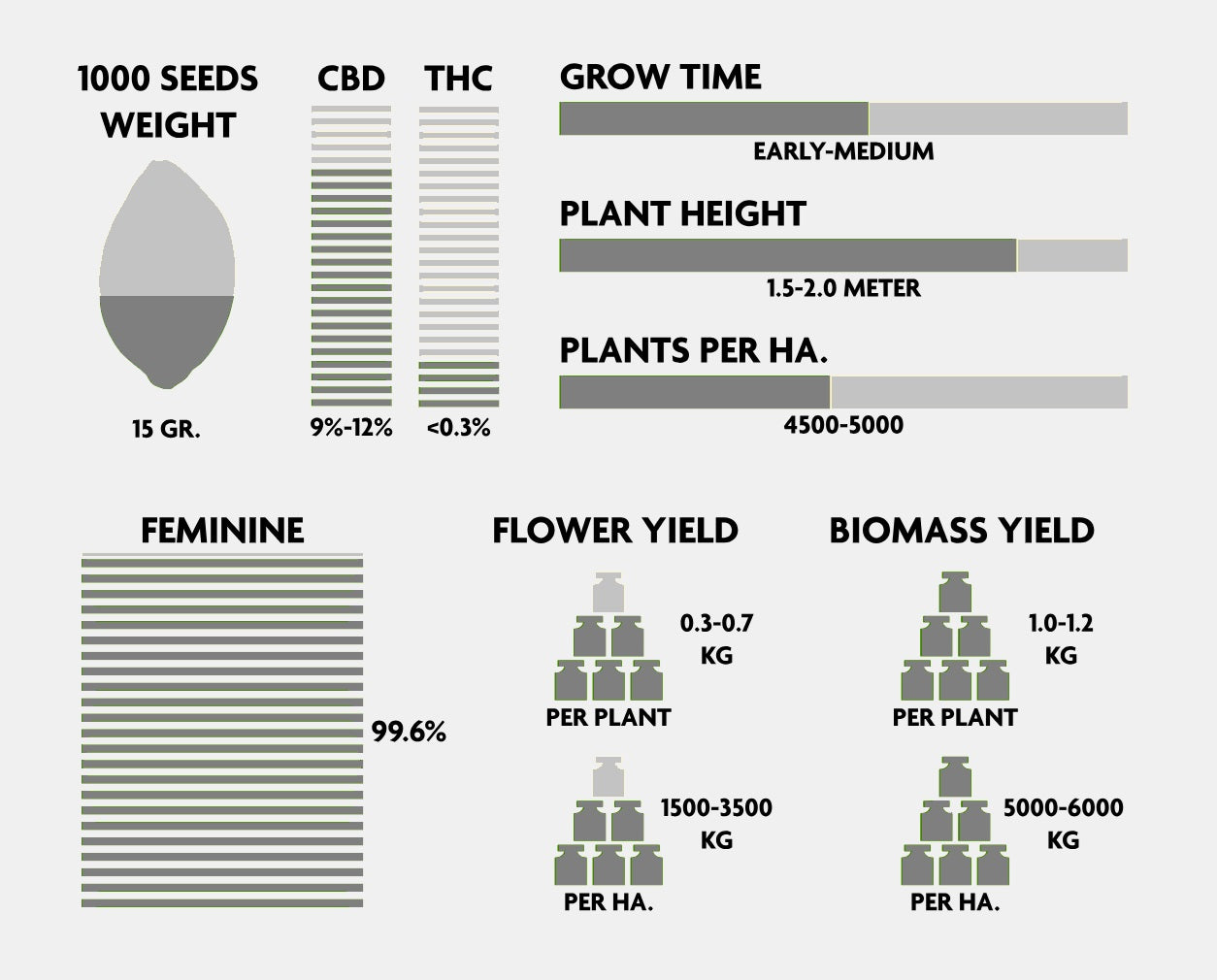 CBD Seedling - Northwest